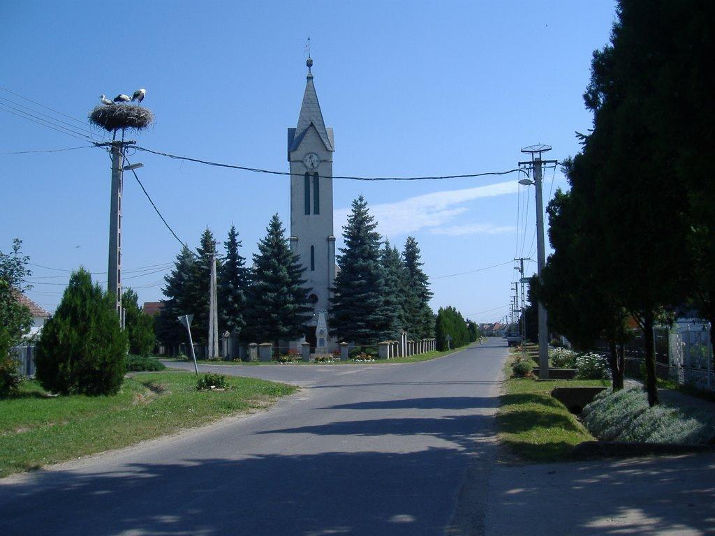 Велика Паладь з panoramio.com - Великая Паладь