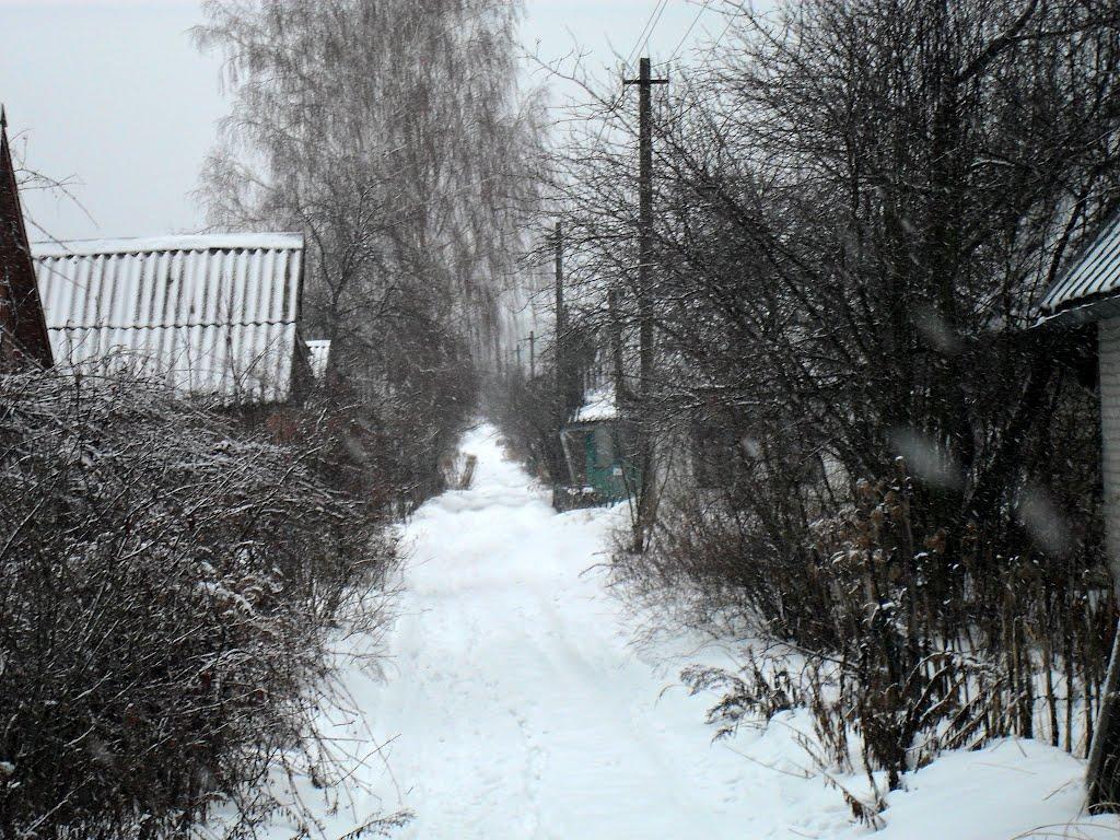 Шостка з panoramio.com - Шостка