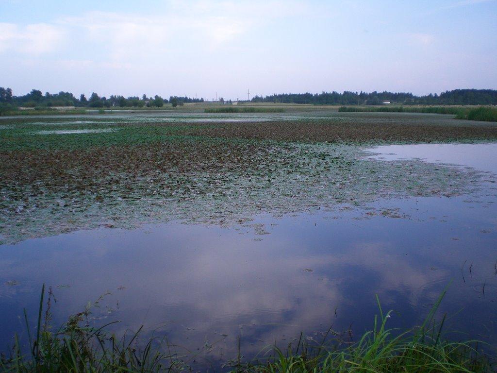 Кремне з panoramio.com - Кремне