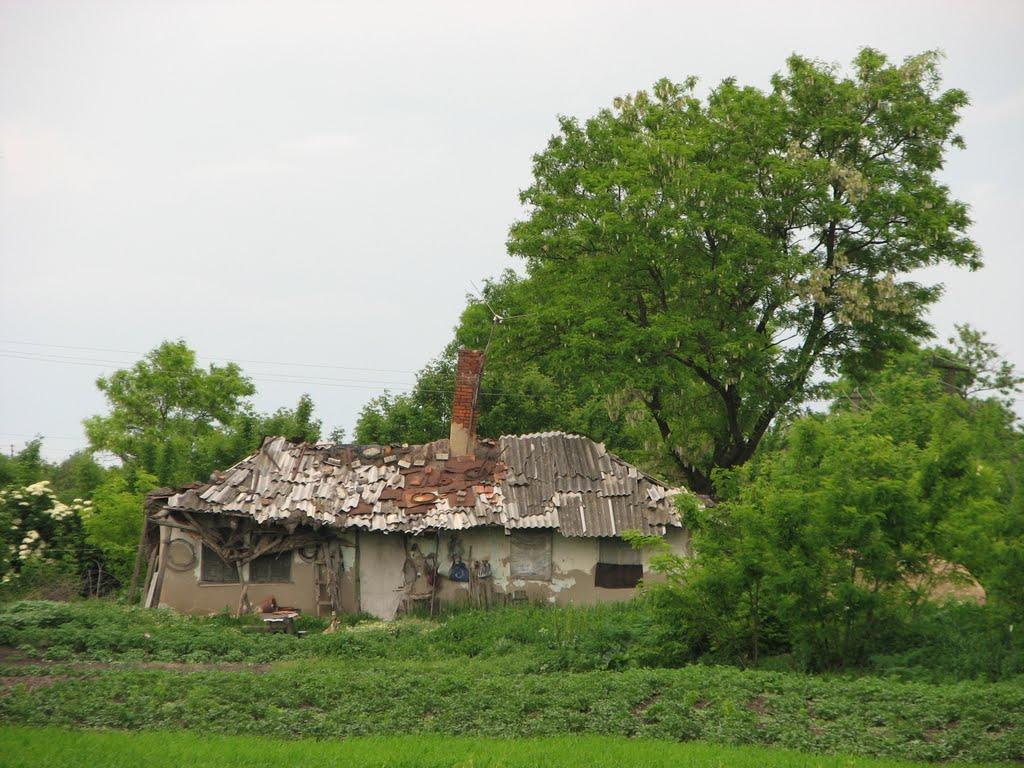 Клинці з panoramio.com - Клинці