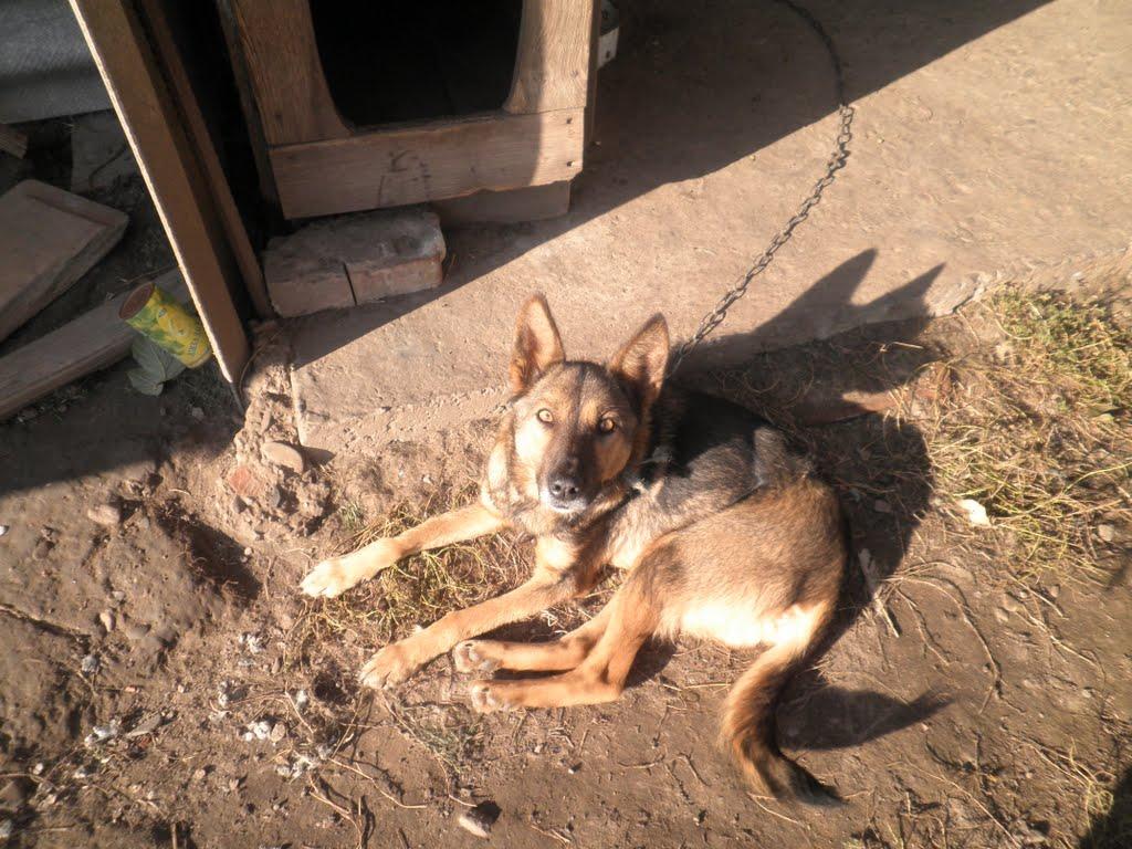 Хлопчиці з panoramio.com - Хлопчиці