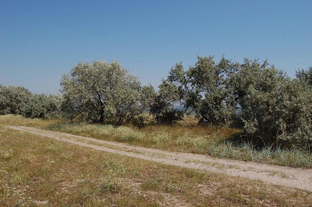 Очаків з panoramio.com - Очаков