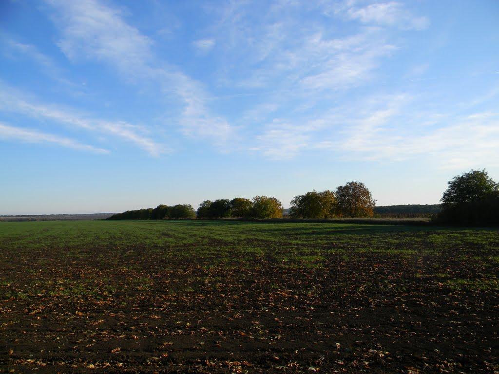 Несваткове з panoramio.com - Несватково