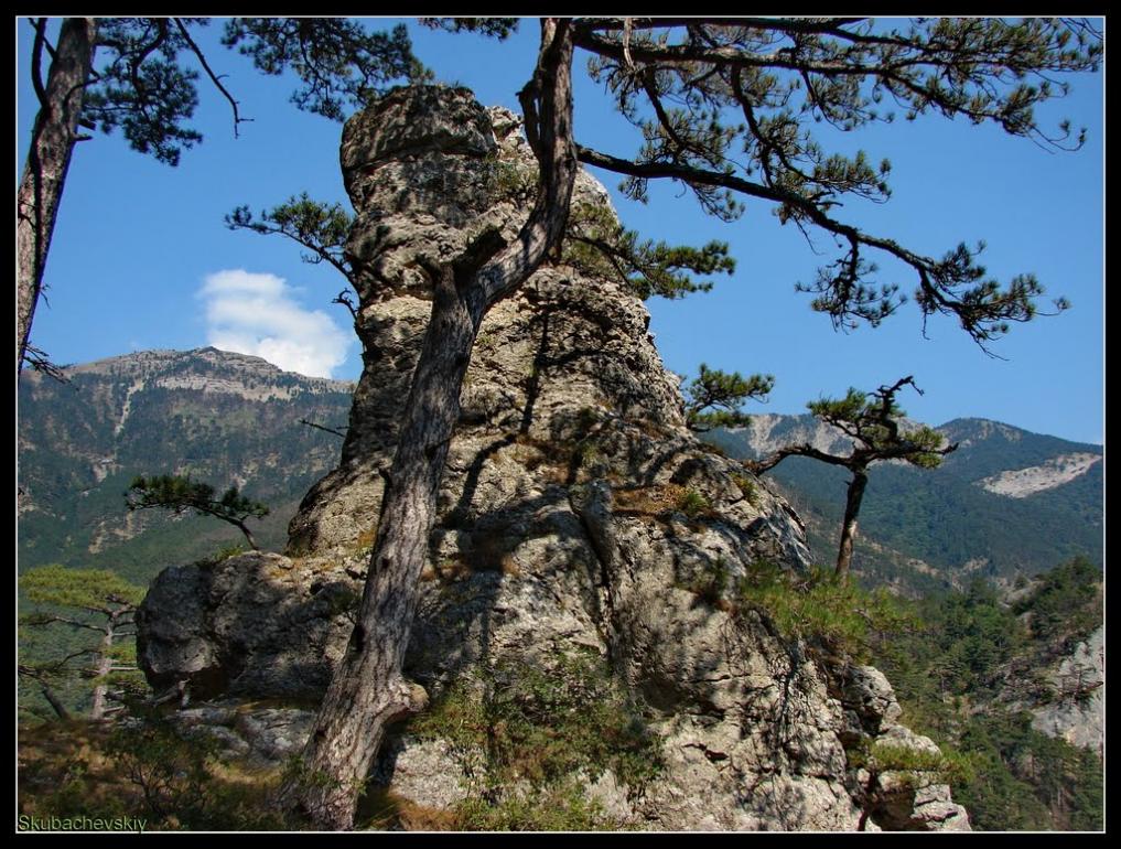 Совєтське з panoramio.com (ч.2) - Советское