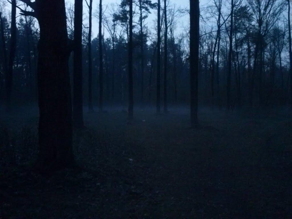 Свеса з panoramio.com - Свеса