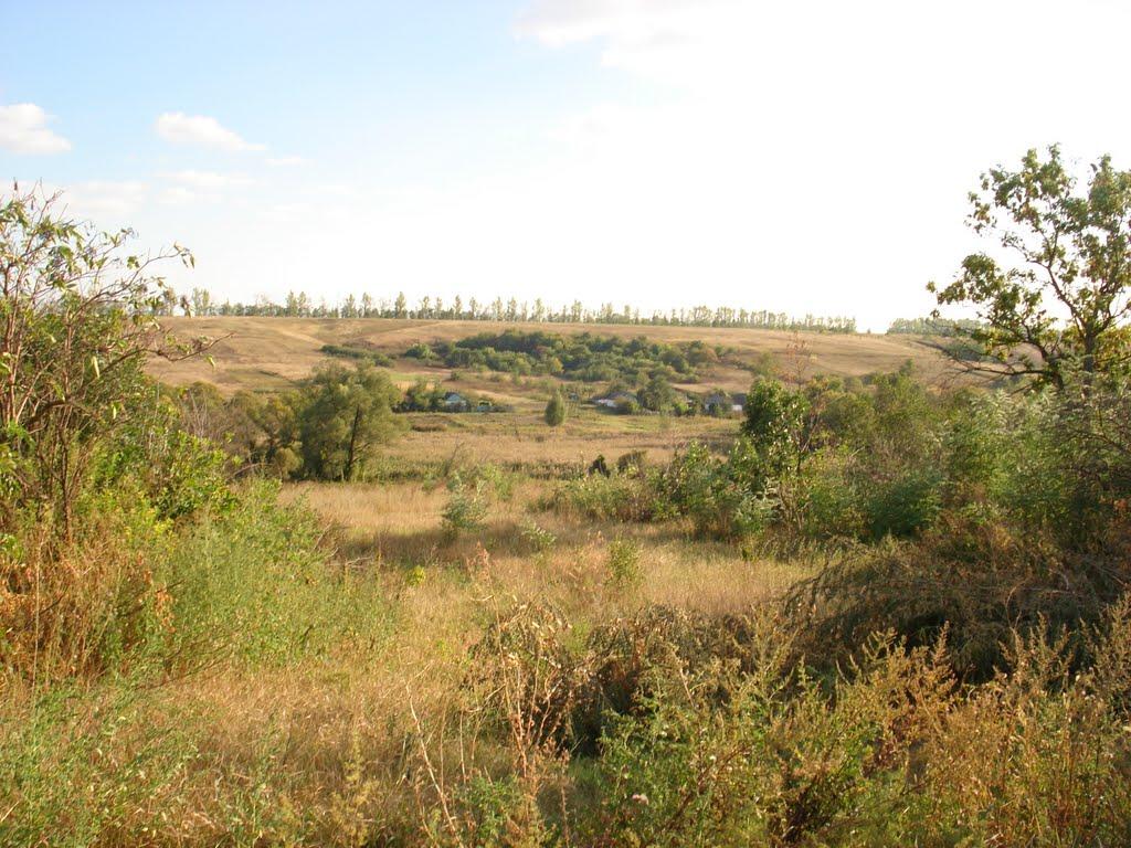 Берека з panoramio.com - Берека