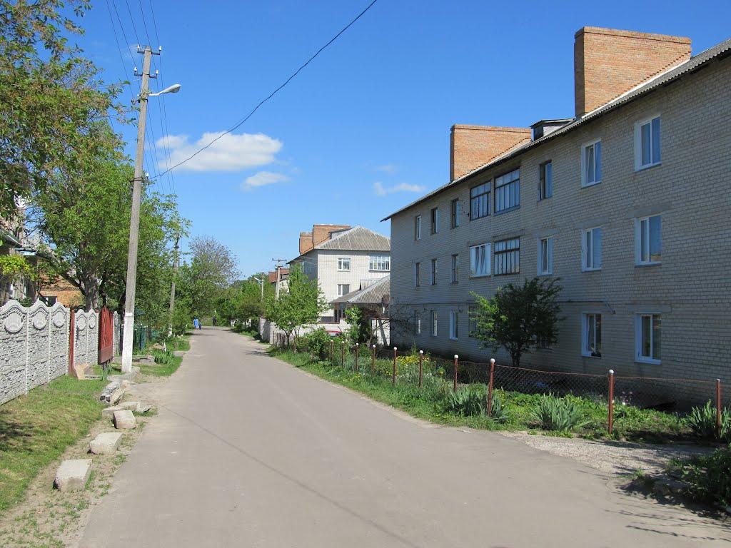 Здолбунів з panoramio.com - Здолбунов