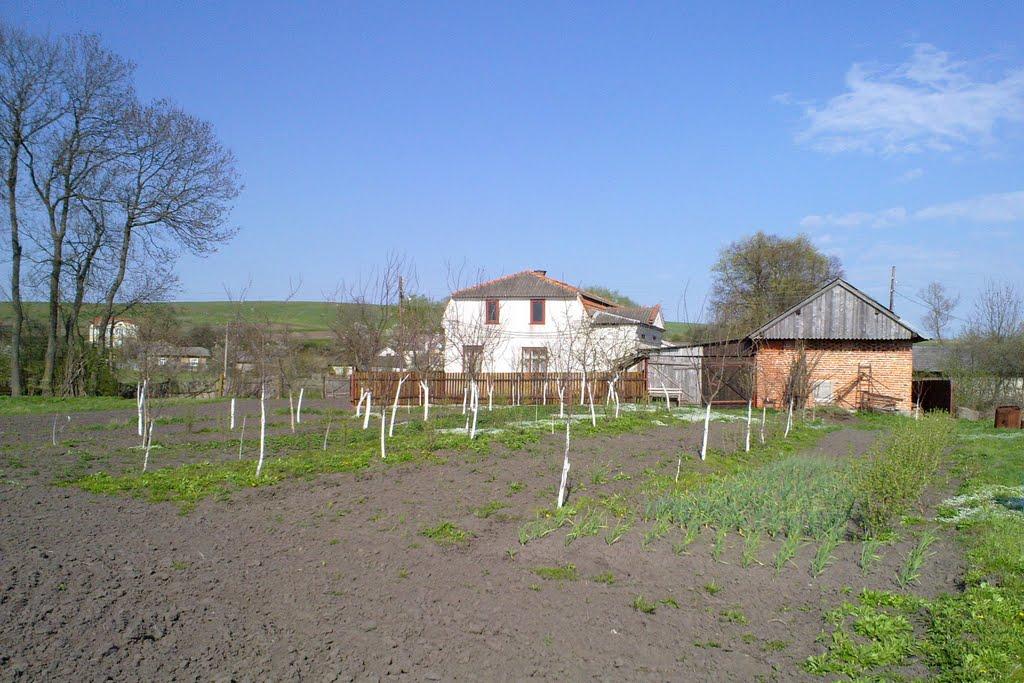 Дроховичі з panoramio.com - Дроховичі