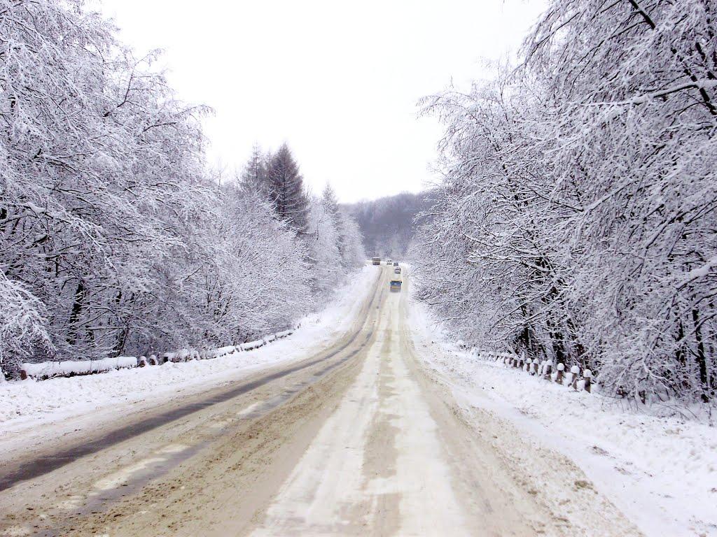 Розділ з panoramio.com - Роздол