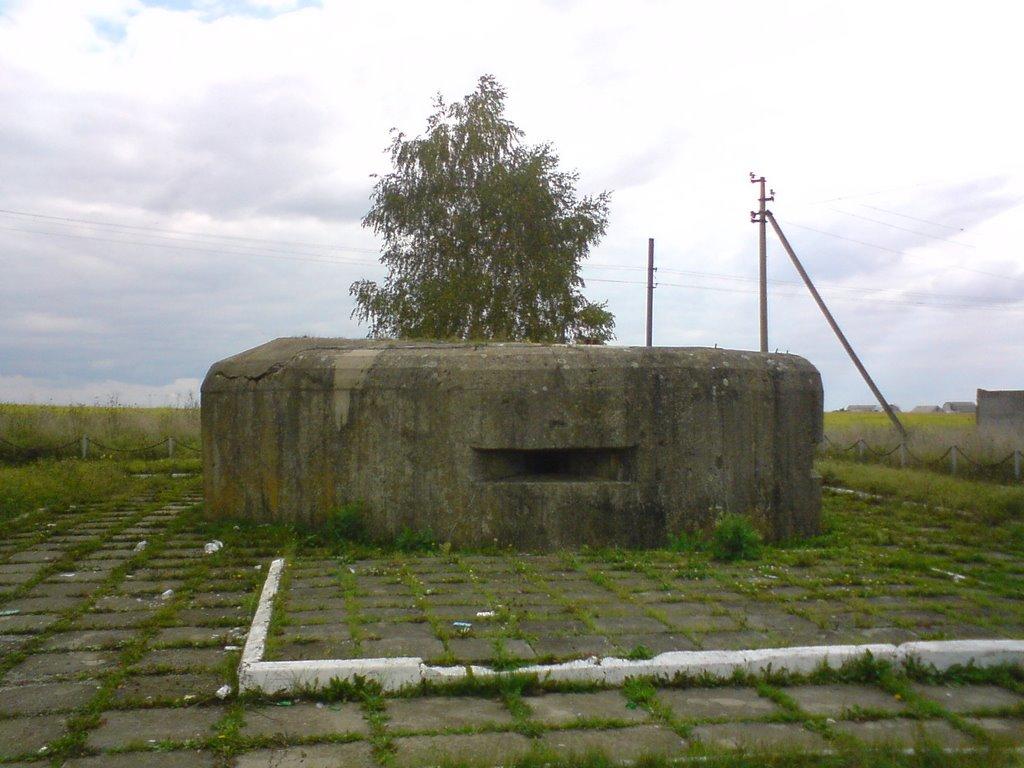 Роздолівка з panoramio.com - Роздолівка