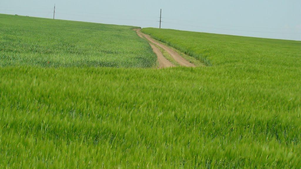 Гришине з panoramio.com - Гришине