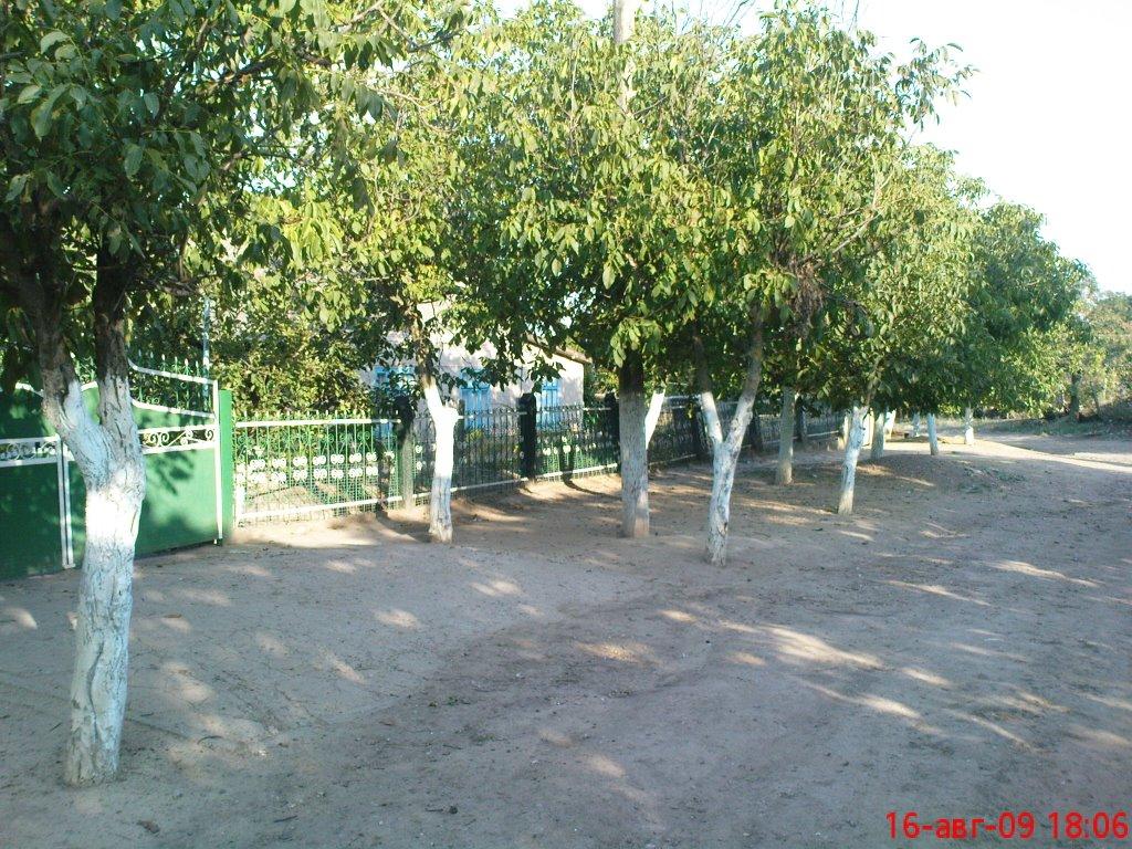 Ганнівка з panoramio.com - Ганнівка