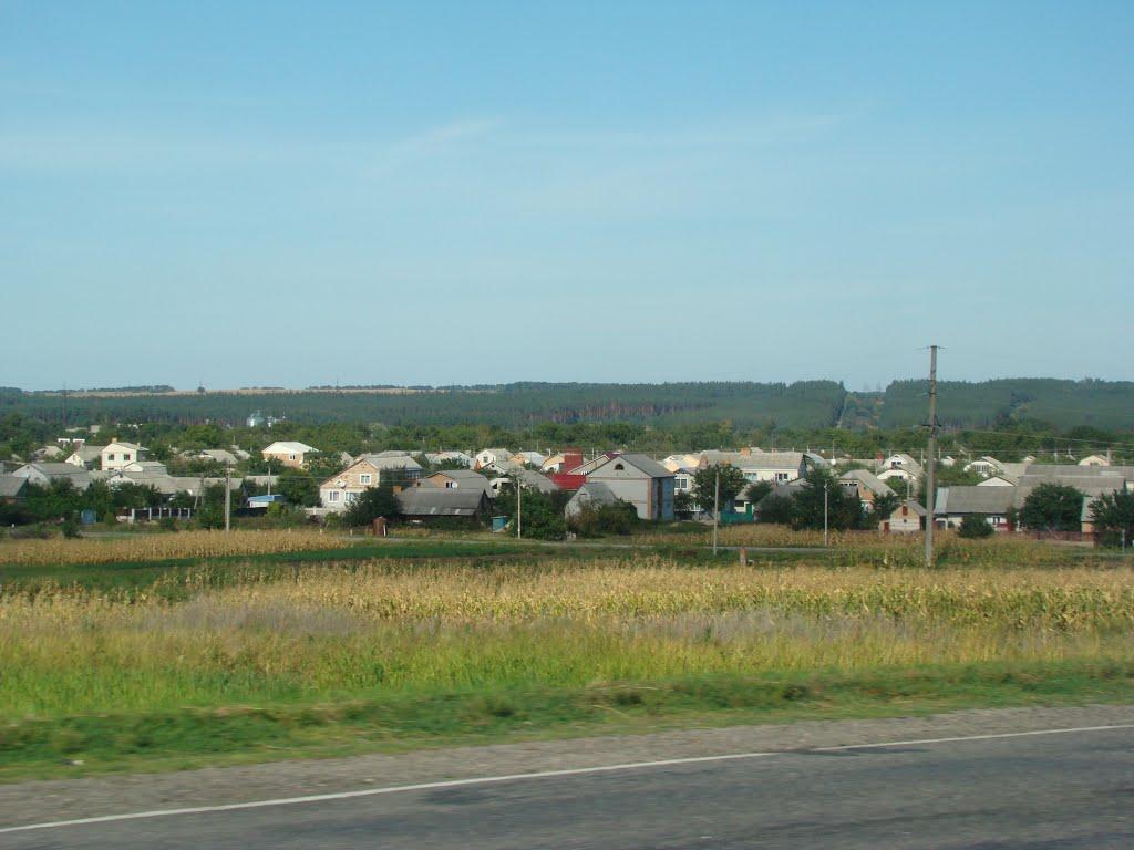 Олександрівка з panoramio.com - Александровка