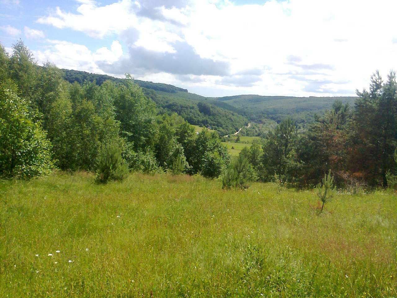 Червень_2014 - Прибинь