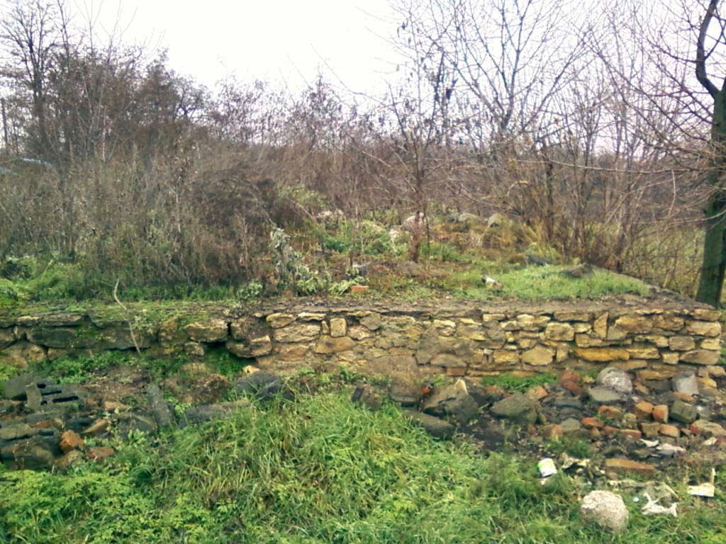 Новобогданове з panoramio.com - Новобогданово
