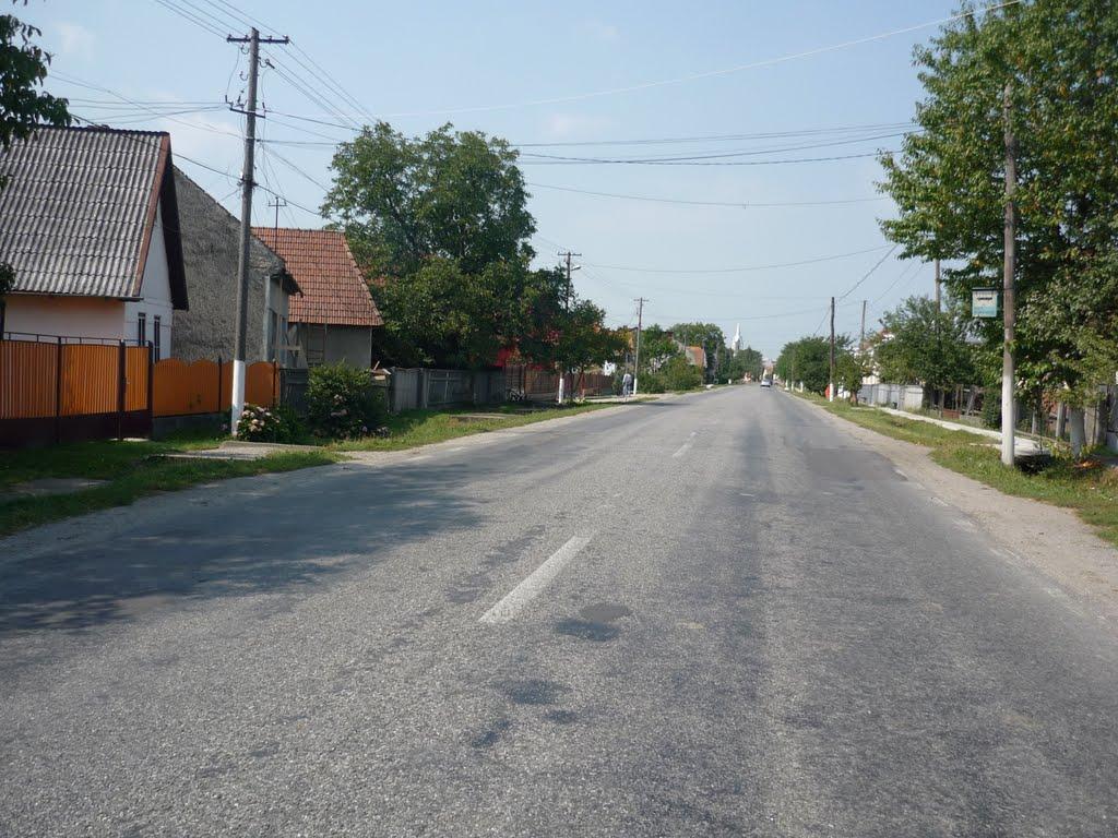 Грушово з panoramio.com - Грушово