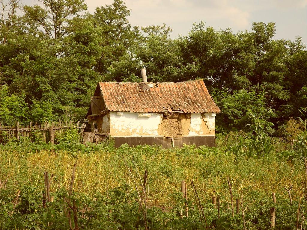 Луканівка з panoramio.com - Лукановка
