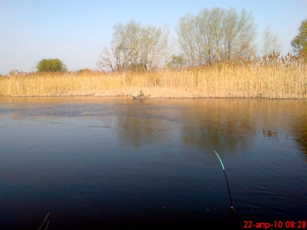 Горошине з panoramio.com - Горошине