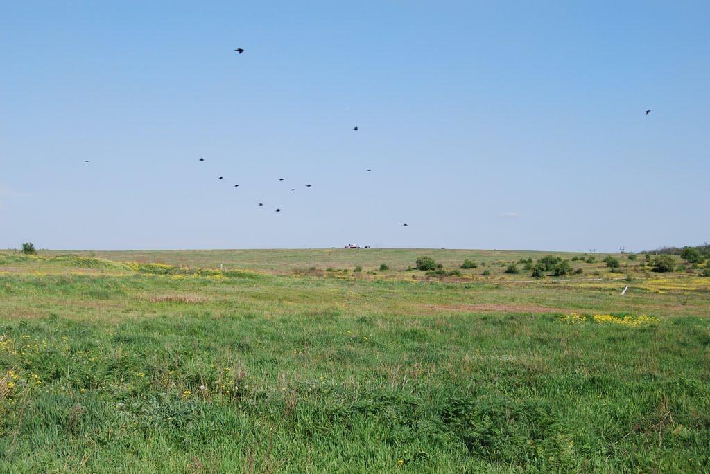 Зуївка з panoramio.com - Зуевка