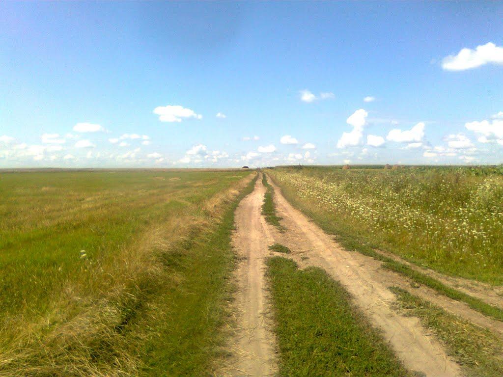 Микити з panoramio.com - Микиты