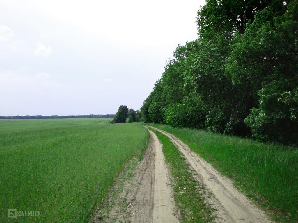 Дідівці з panoramio.com - Дідівці