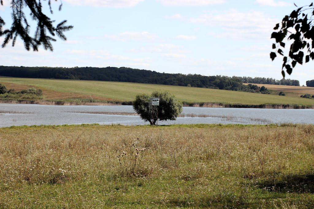 Бахматівці з panoramio.com - Бахматівці