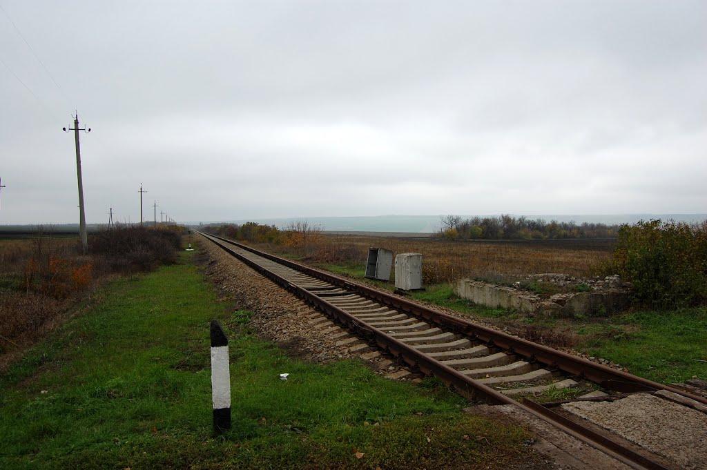 Покровське з panoramio.com - Покровське