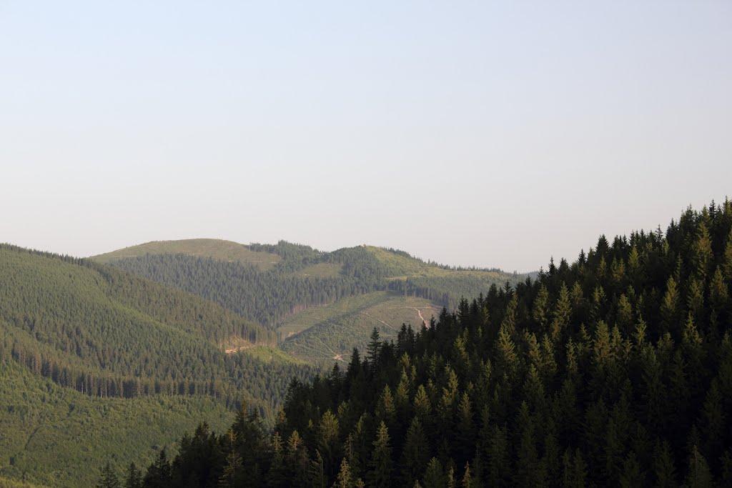 Долішній Шепіт з panoramio.com - Долишний Шепот