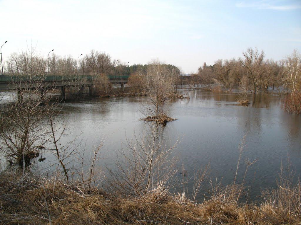 Проточі з panoramio.com - Проточі