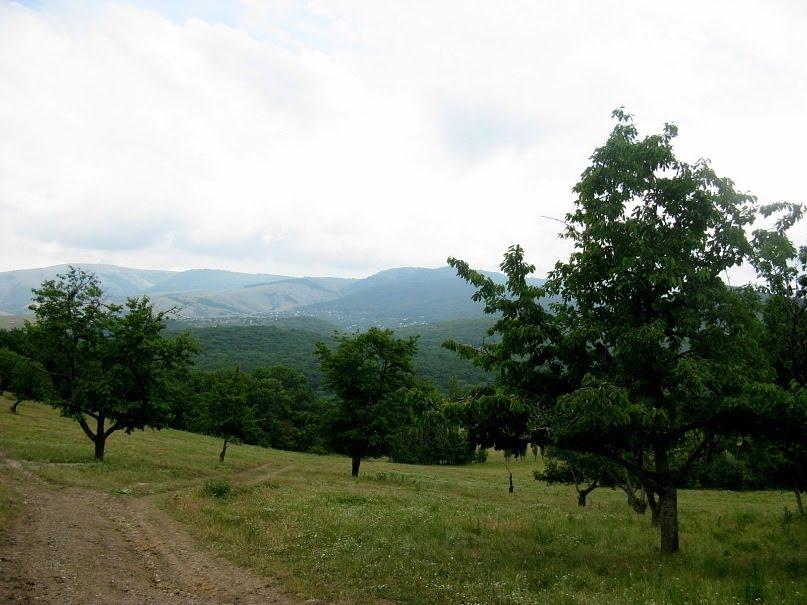Краснолісся з panoramio.com - Краснолесье