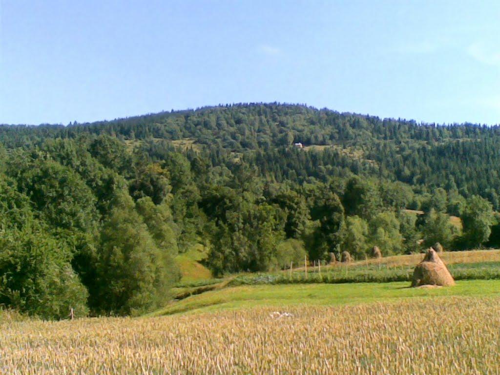 Смеречка з panoramio.com - Смеречка