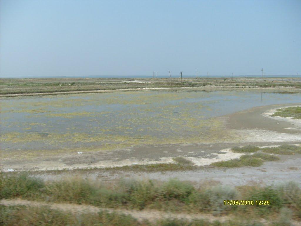 Сиваш з panoramio.com - Syvash