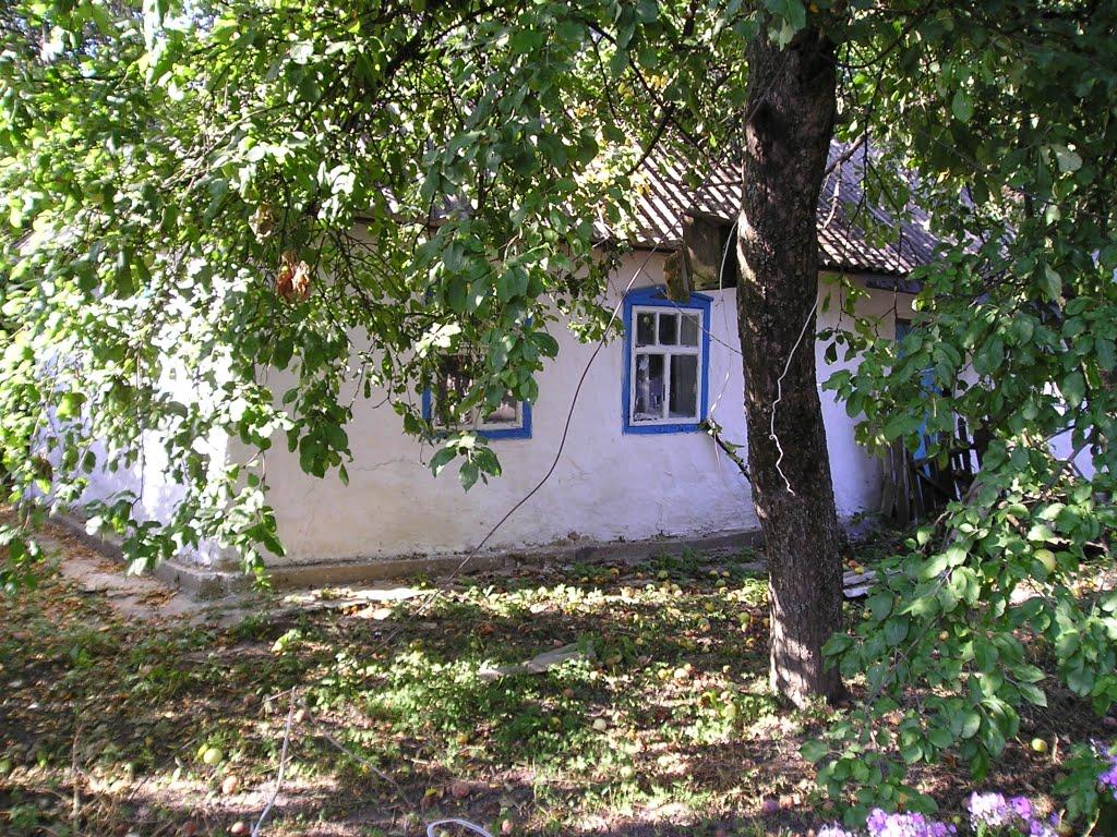 Черепин з panoramio.com - Черепин