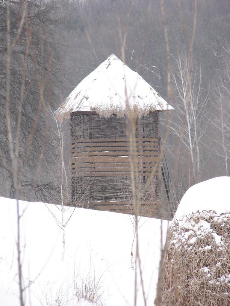 Жолудькове з panoramio.com - Жолудькове