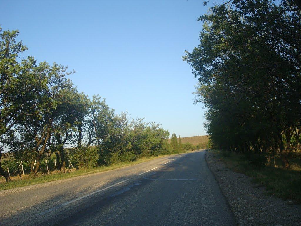 Багатівка з panoramio.com - Богатовка
