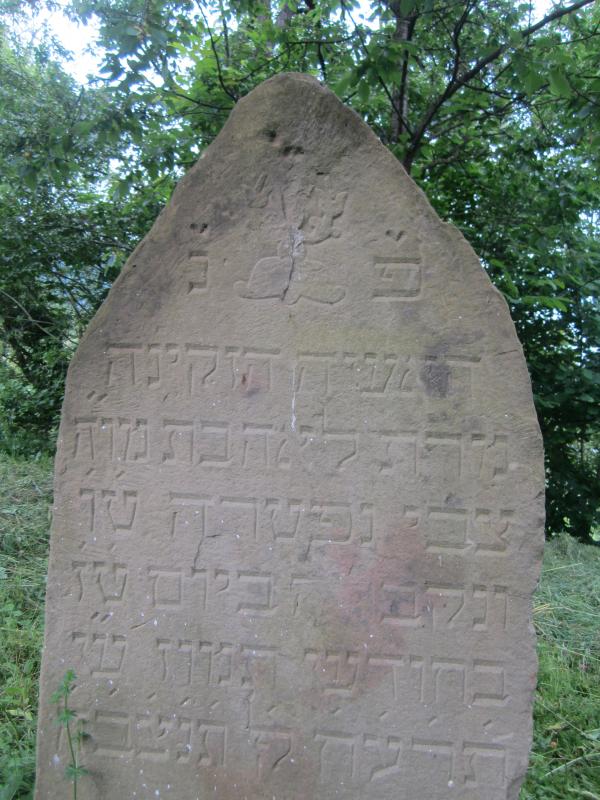 сімер - Сімер