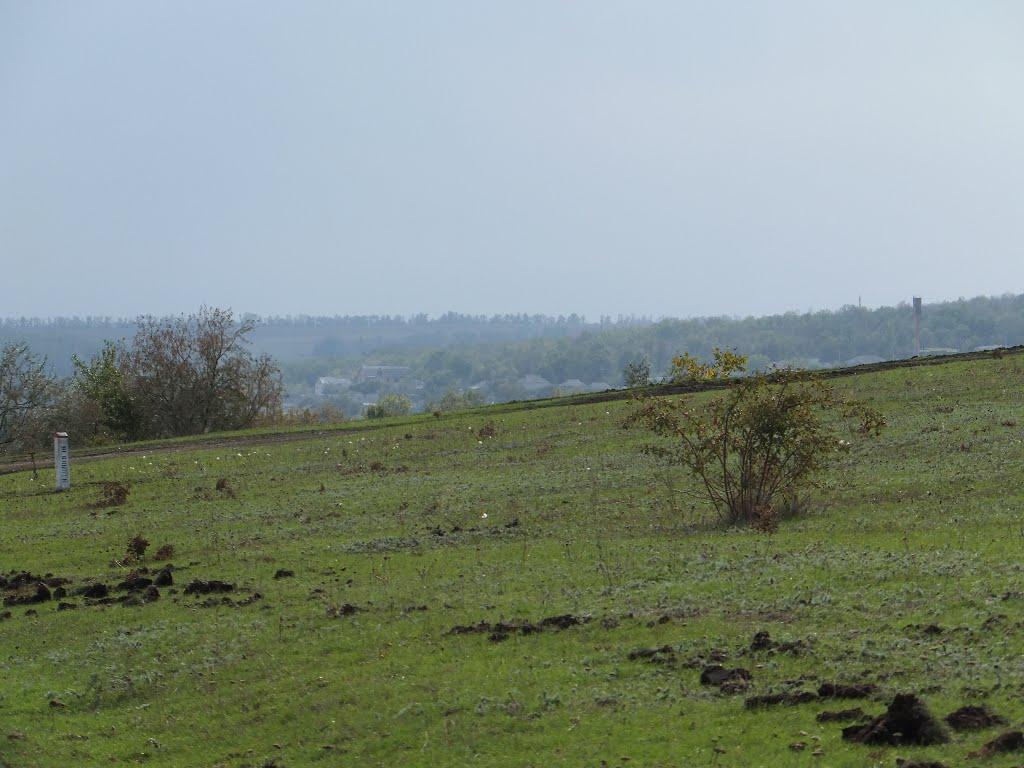 Доманівка з panoramio.com - Доманівка