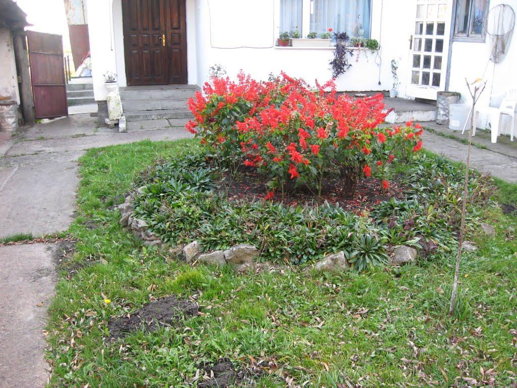 Оглядів з panoramio.com - Оглядів