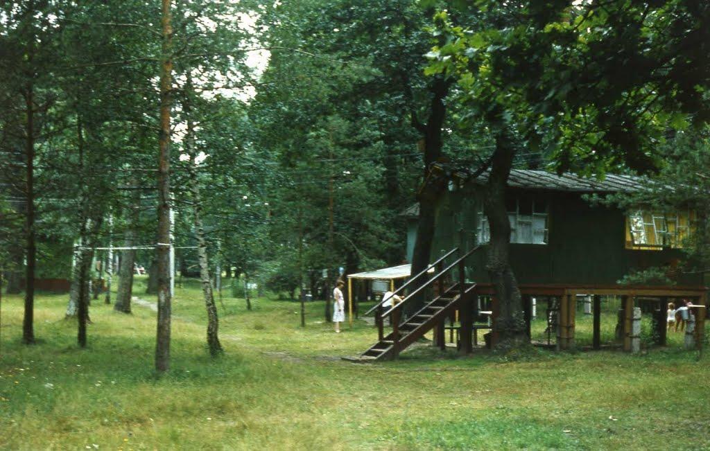 Карпилівка з panoramio.com - Карпиловка