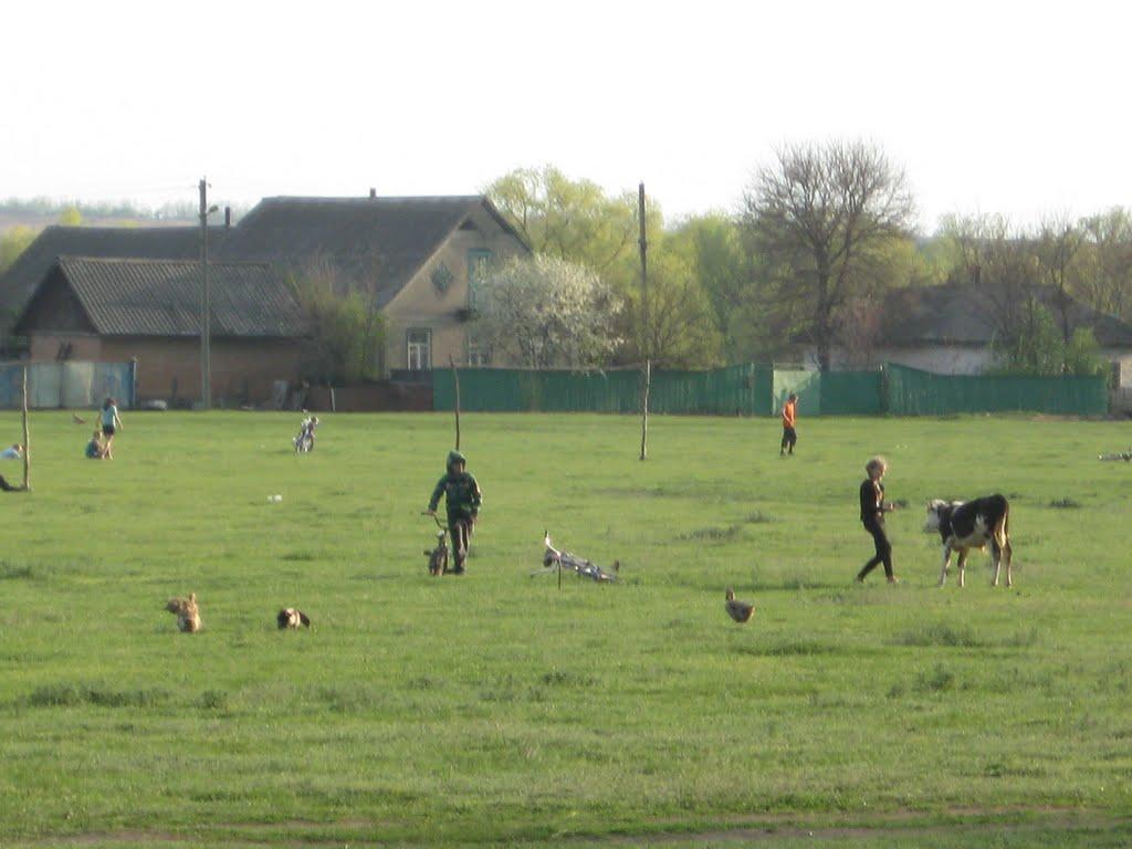 Коробчино з panoramio.com - Korobchyno