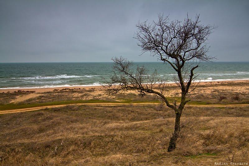 Львове з panoramio.com - Львове