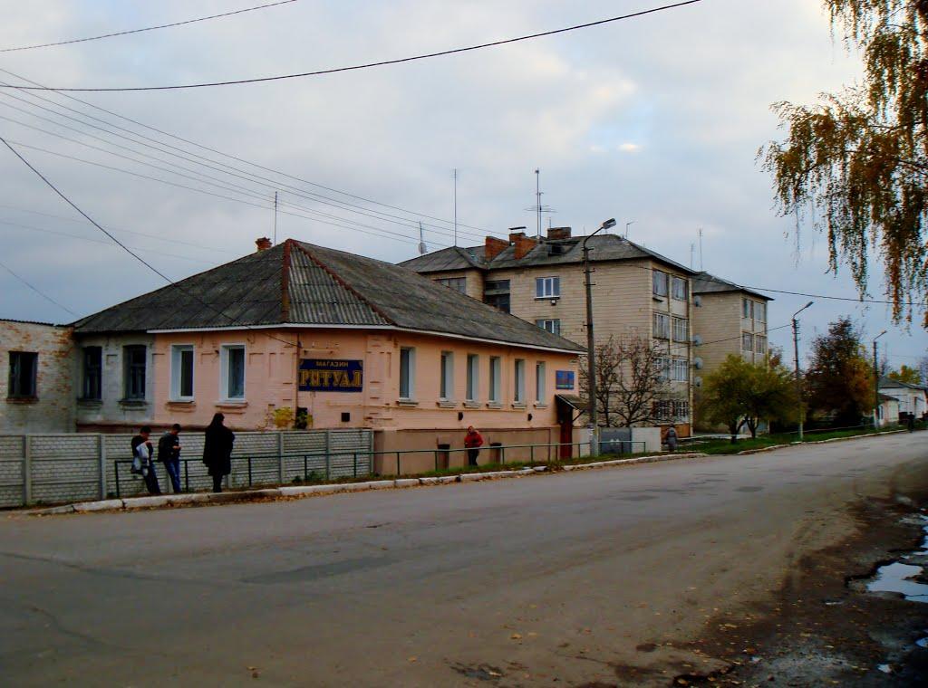 Тараща з panoramio.com - Тараща