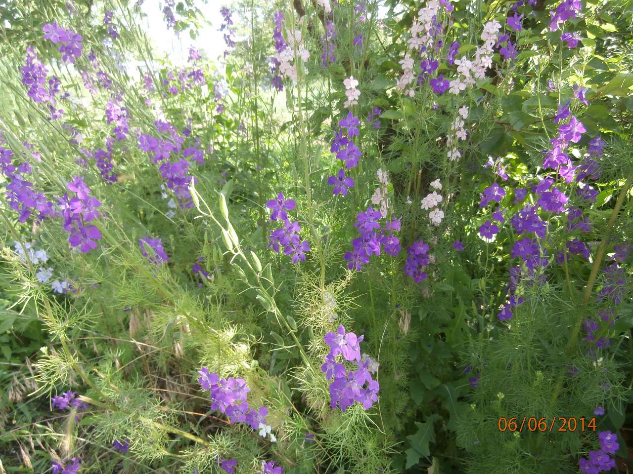 МОЄ ВАТУТІНЕ - Ватутино