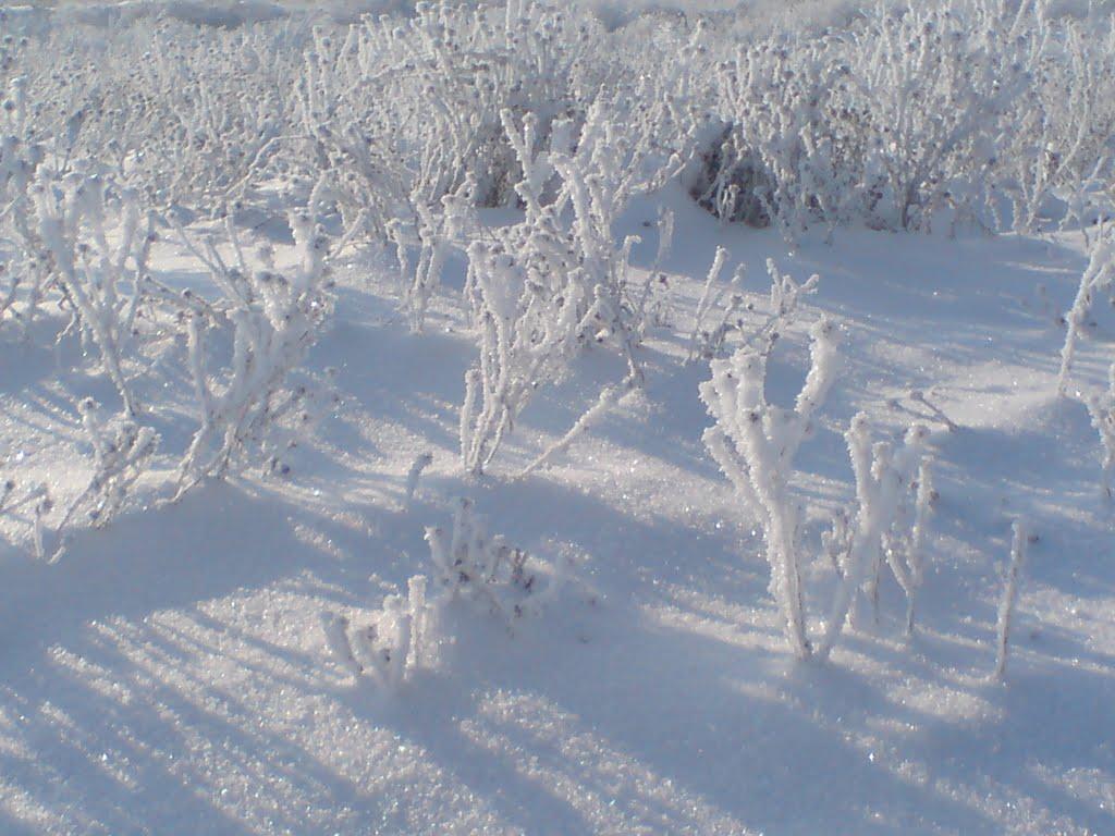 Сливине з panoramio.com - Сливине