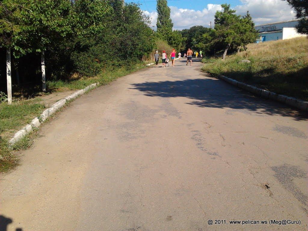 Берегове з panoramio.com - Берегово