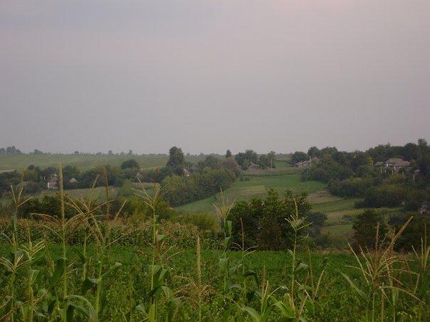 Олексіївка з panoramio.com - Алексеевка