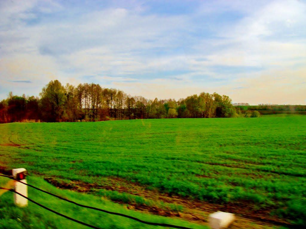 Мурзинці з panoramio.com - Мурзинці