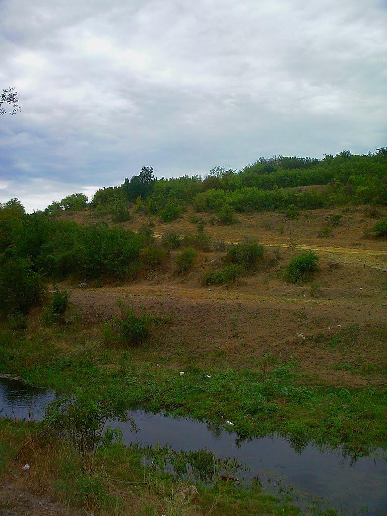 Шевченкове з panoramio.com - Шевченково