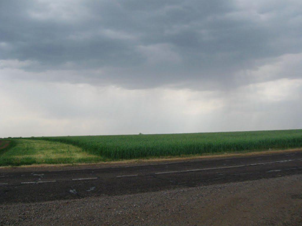 Горностаївка з panoramio.com - Горностаевка
