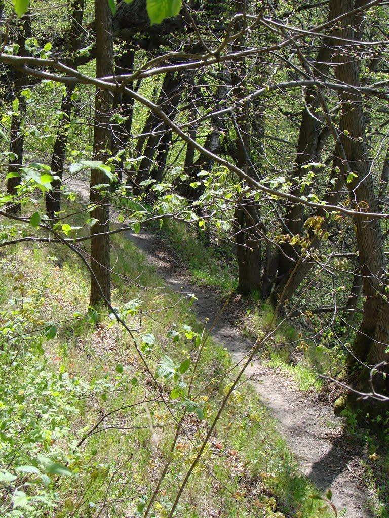 Миропіль з panoramio.com - Мирополь